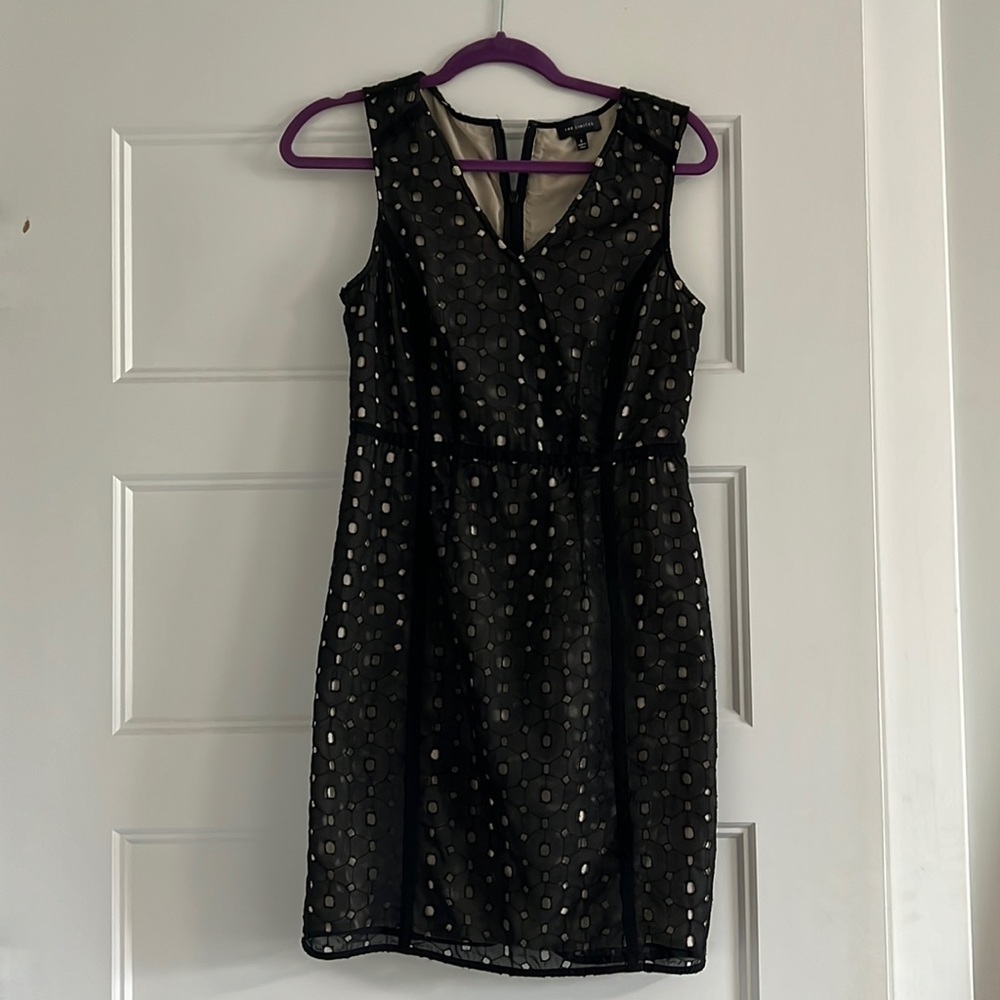 The Limited black and light tan dress